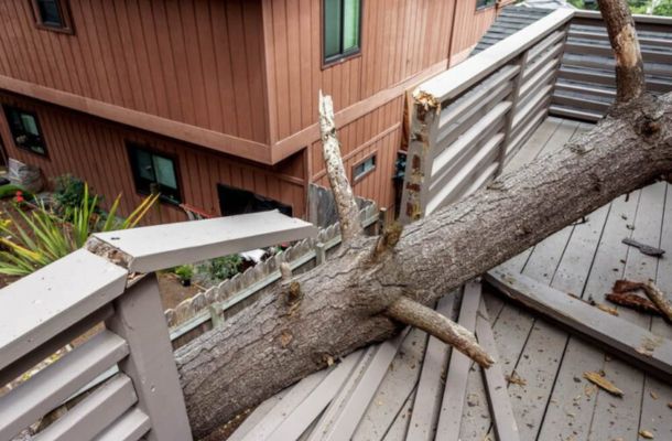Storm-Damage-Cleanup-in-Farmington-Hills-Michigan